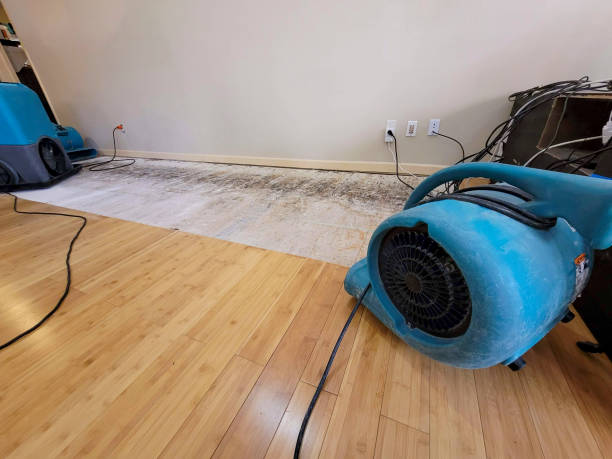 Professional Basement Flood Cleanup technician working in Delphos, OH